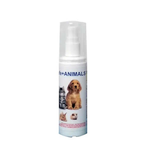 Spray do dezynfekcji akcesoriów zwierzęcych safe+ ANIMALS 100 ML